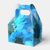 Ballotins Collaert (Arrière)