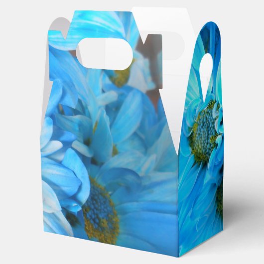 Ballotins Collaert (Ouvert)