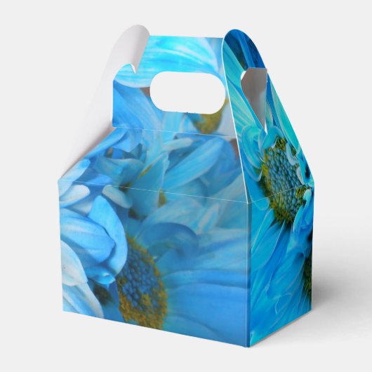 Ballotins Collaert (Verso)