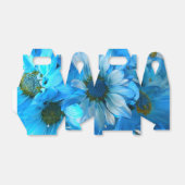 Ballotins Collaert (Déplié)