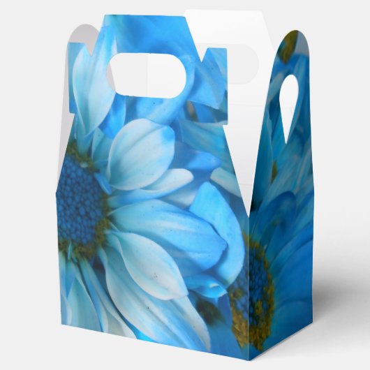 Ballotins Collaert (Ouvert)