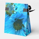 Ballotins Collaert (Arrière)