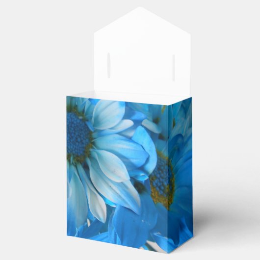 Ballotins Collaert (Ouvert)