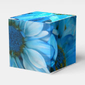 Ballotins Collaert (Verso)