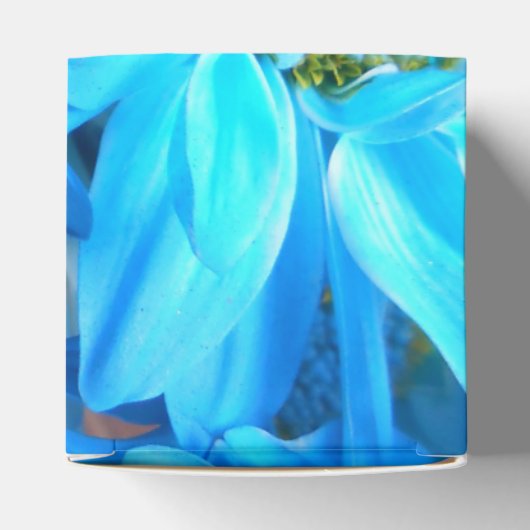 Ballotins Collaert (Haut)