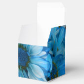 Ballotins Collaert (Ouvert)