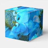 Ballotins Collaert (Arrière)