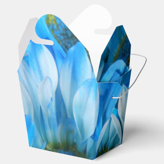 Ballotins Collaert (Ouvert)