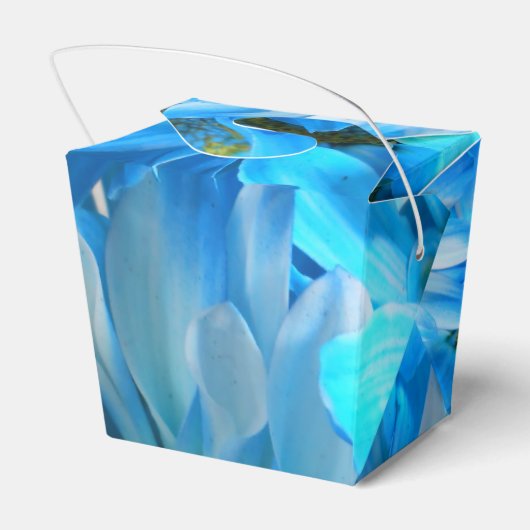 Ballotins Collaert (Arrière)