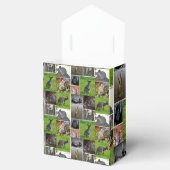 Ballotins Collage d'images de la faune australienne, (Ouvert)