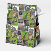 Ballotins Collage d'images de la faune australienne, (Arrière)