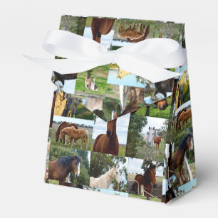 Ballotins Collage photo de cheval,