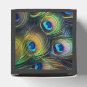 Ballotins Composition de plumes de paon brillantes (Haut)