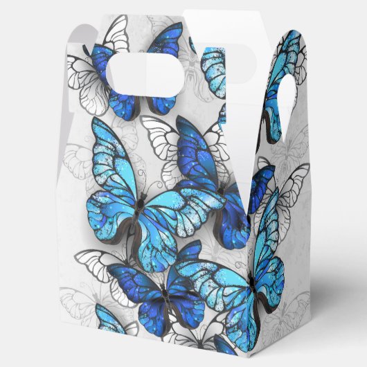 Ballotins Composition des White and Blue Butterflies (Ouvert)
