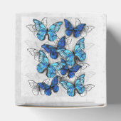 Ballotins Composition des White and Blue Butterflies (Haut)