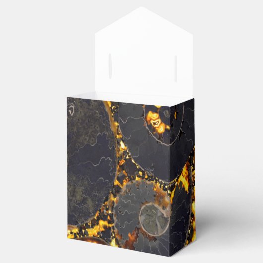 Ballotins Conception de coque Nautilus (Ouvert)