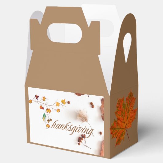 Ballotins Conception de Thanksgiving ballotin1 (Ouvert)