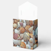 Ballotins Coquillages (Ouvert)