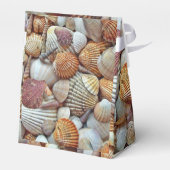 Ballotins Coquillages (Arrière)