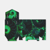 Ballotins coquille de nautile - design vert (Déplié)