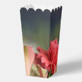 Ballotins Corail Et Pêche (Verso)