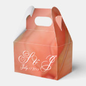 Ballotins Corail Et Pêche (Arrière)