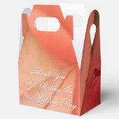 Ballotins Corail Et Pêche (Ouvert)