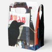 Ballotins Corneille japonaise (Ouvert)