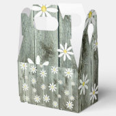 Ballotins Cottage Daisy (Ouvert)