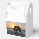 Ballotins Coucher de soleil Divi Tree (Ouvert)