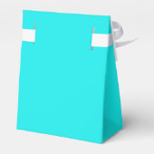 Ballotins Couleur solide turquoise (Arrière)