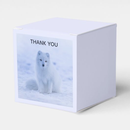 Ballotins Cute Arctic Fox sur Snowy Winter Arrière - plan (Verso)