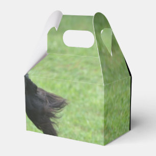 Ballotins Cute Gordon Setter