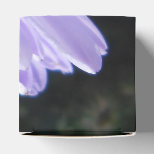 Ballotins Cyrène (Haut)