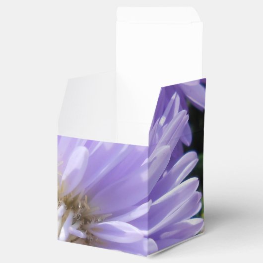 Ballotins Cyrène (Ouvert)