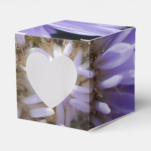 Ballotins Cyrène (Verso)