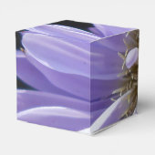 Ballotins Cyrène (Arrière)