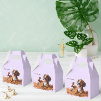 Ballotins Dachshund
