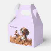 Ballotins Dachshund (Verso)