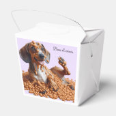 Ballotins Dachshund (Arrière)