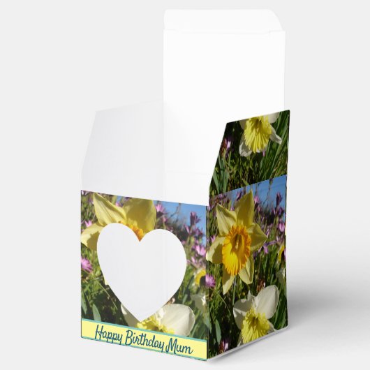 Ballotins Daffodique Jaune Floral Ballotin de gâteau d'anniv (Ouvert)