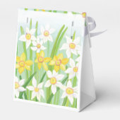 Ballotins Daffodiques de printemps (Arrière)