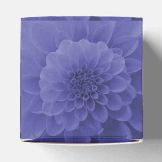 Ballotins Dahlia bleu (Haut)