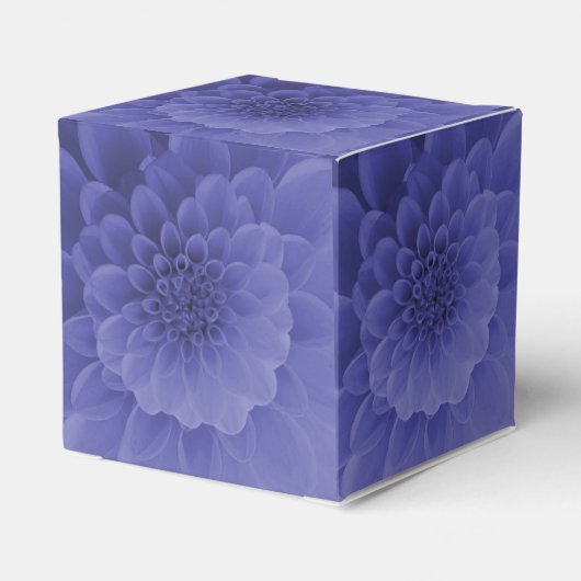 Ballotins Dahlia bleu (Arrière)