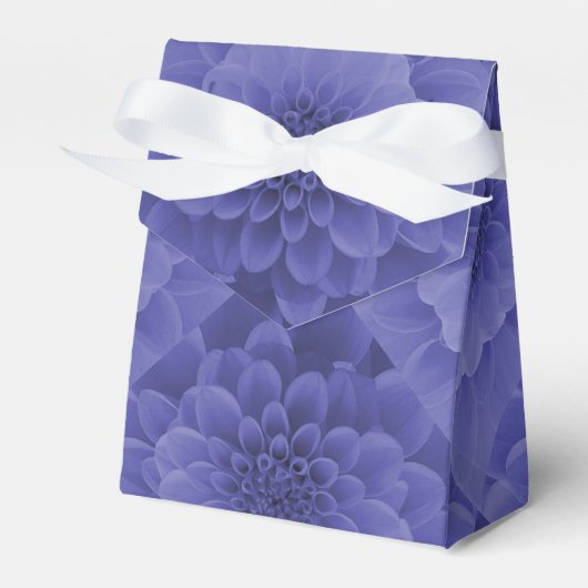 Ballotins Dahlia bleu (Verso)
