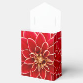 Ballotins Dahlia Rouge Merci (Ouvert)