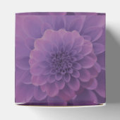 Ballotins Dahlia violet (Haut)