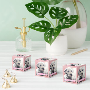 Ballotins Dalmatien Nez de Coeur