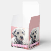 Ballotins Dalmatien Nez de Coeur (Ouvert)