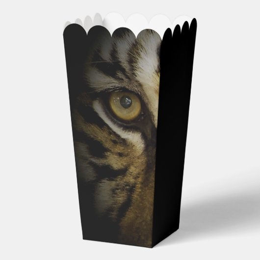 Ballotins Dans l'oeil d'un tigre (Verso)